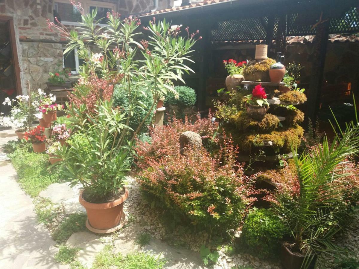 Guest House Tivko Katce Gostivar Buitenkant foto